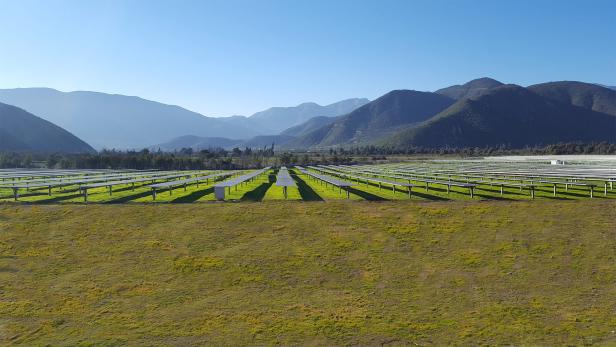 Reden inaugure une usine de production de panneaux solaires et renforce son leadership dans le secteur