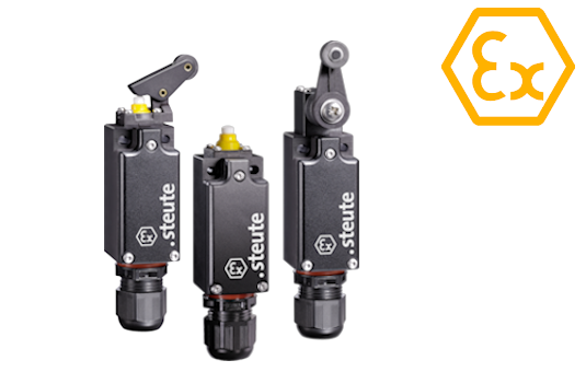 Limit switch for ATEX zones